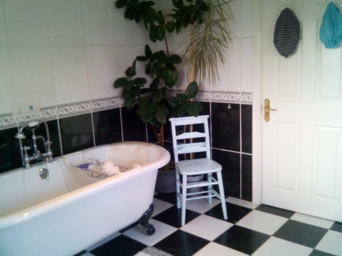Y Garreg Wen Bed & Breakfast Llanybydder Bagian luar foto