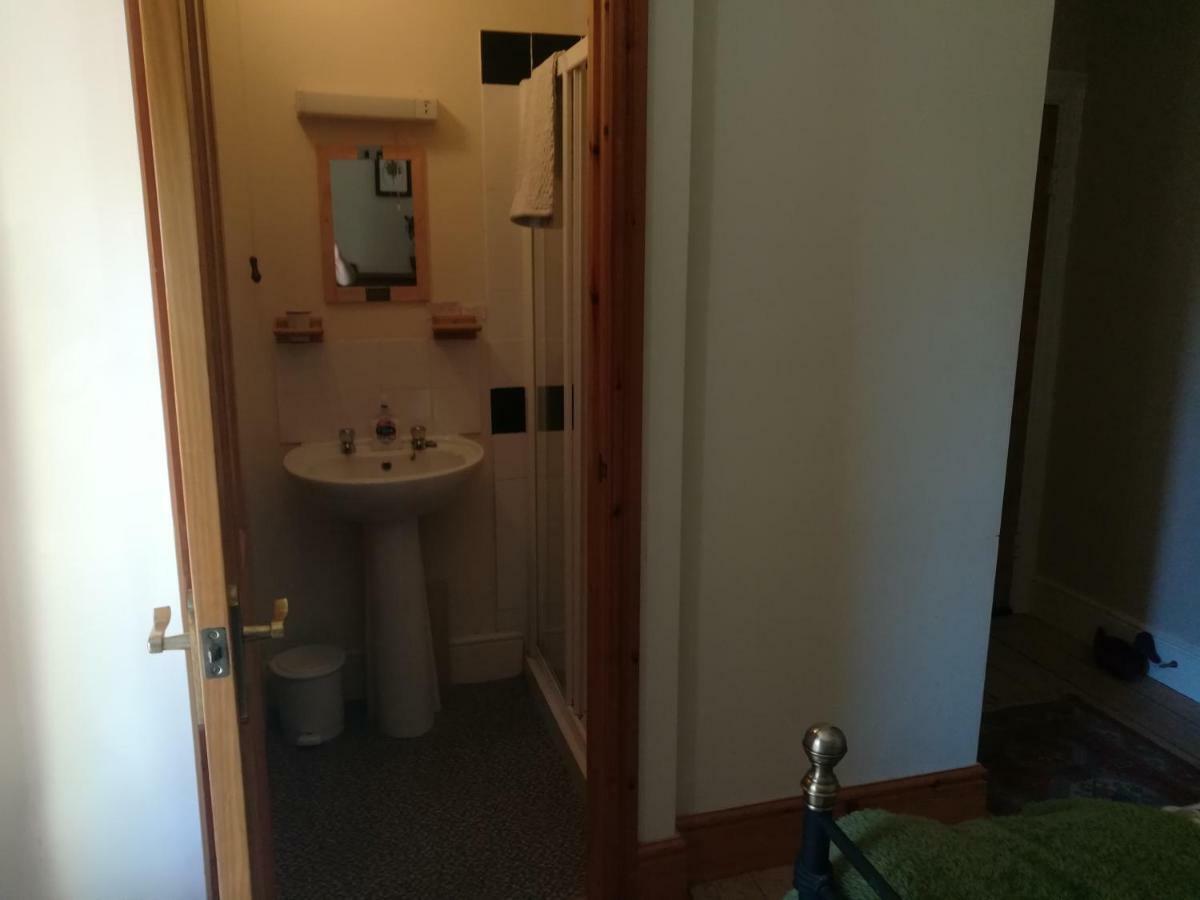 Y Garreg Wen Bed & Breakfast Llanybydder Bagian luar foto