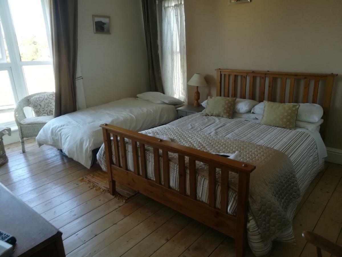 Y Garreg Wen Bed & Breakfast Llanybydder Bagian luar foto
