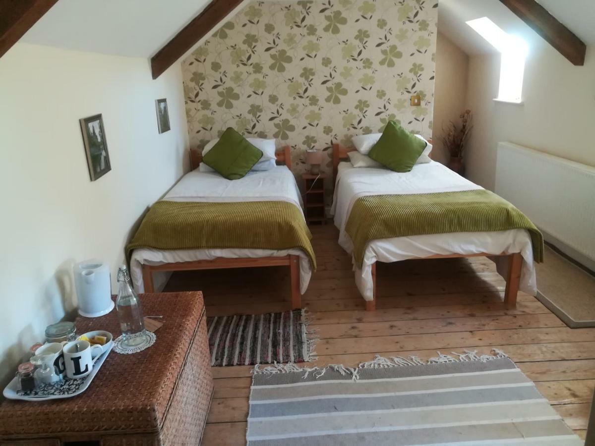 Y Garreg Wen Bed & Breakfast Llanybydder Bagian luar foto