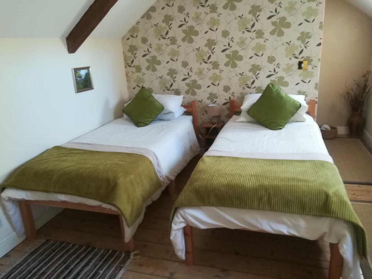 Y Garreg Wen Bed & Breakfast Llanybydder Bagian luar foto