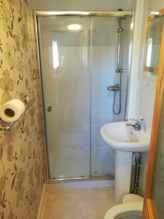 Y Garreg Wen Bed & Breakfast Llanybydder Bagian luar foto
