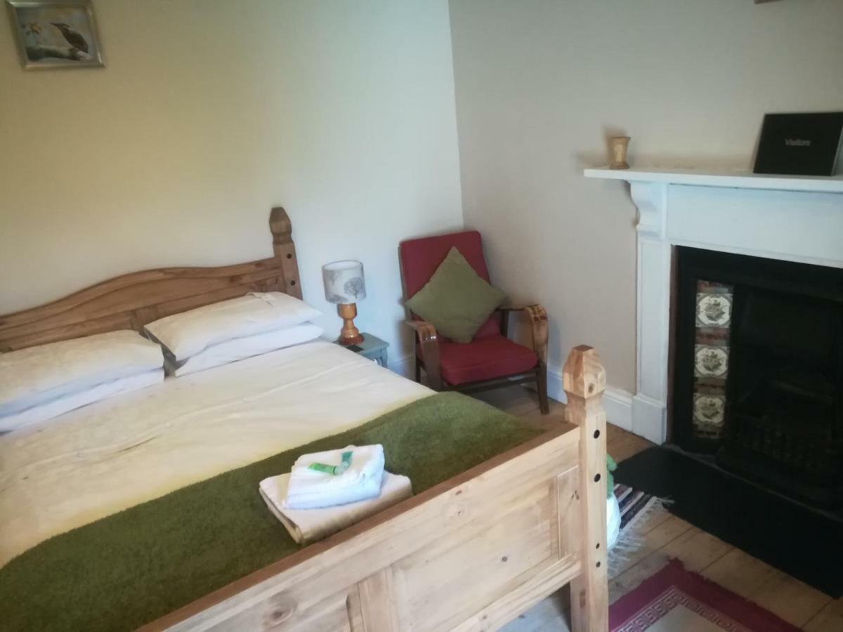 Y Garreg Wen Bed & Breakfast Llanybydder Bagian luar foto